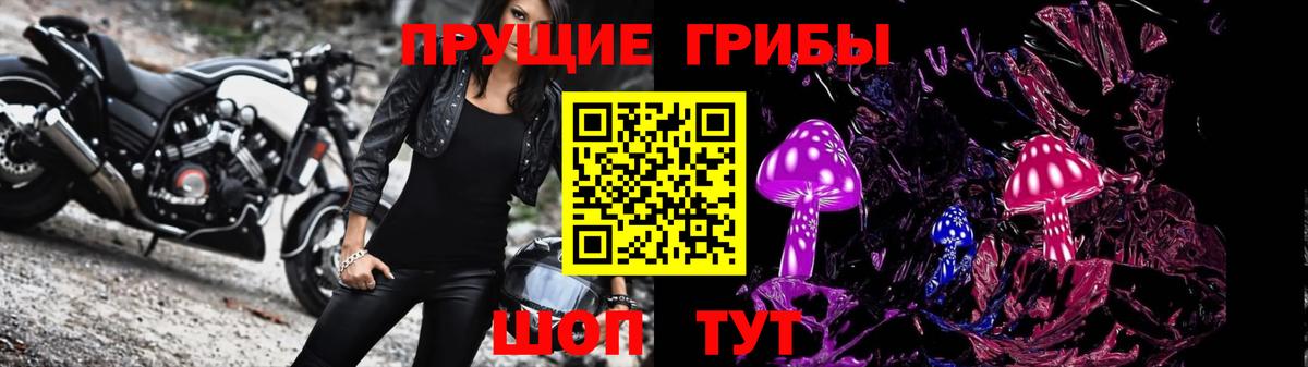 Псилоцибиновые грибы GOLDEN TEACHER Новокуйбышевск